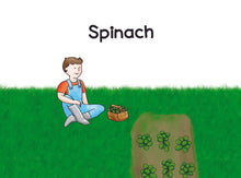 Load image into Gallery viewer, The Land of Secret Superpowers: Vegetables